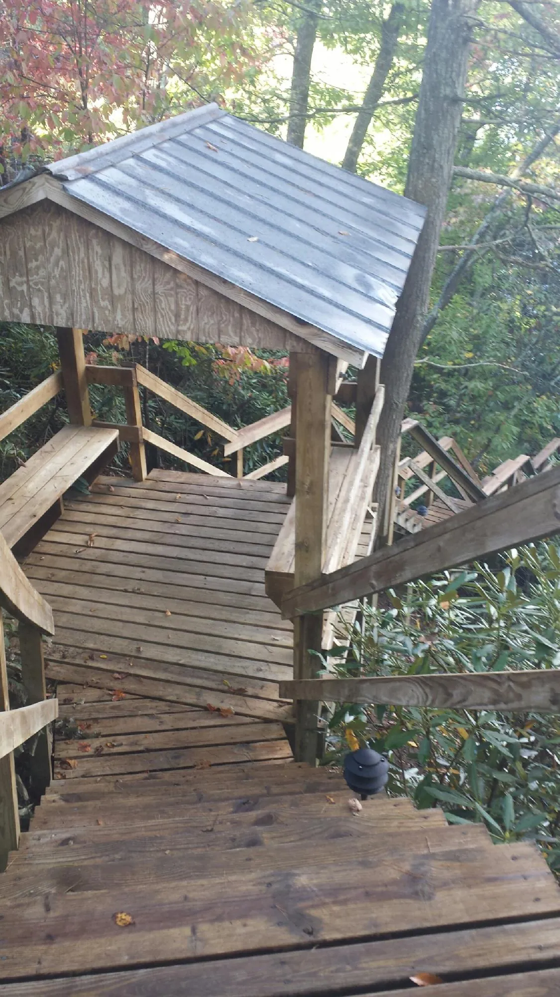 Metal roofed shelter over wooden steps on a wooded walkway — Skylight Repair & Installation work by our crew in Bee Spring