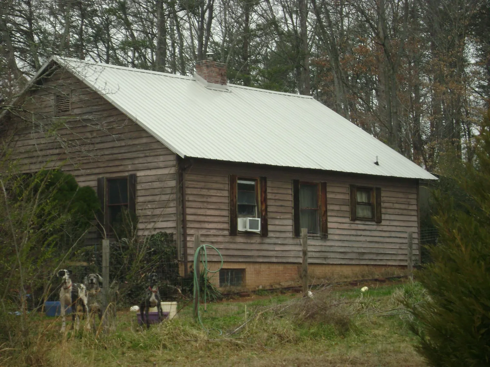 White metal roof on an old wood sided farmhouse, from a Asphalt Shingle Roof Repair job in Bee Spring